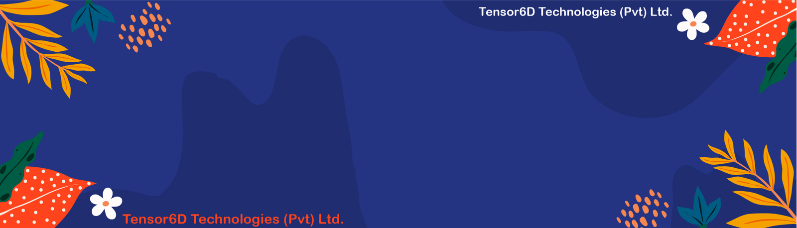 Services Of Tensor6D.com